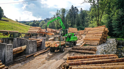 17 t material handler SENNEBOGEN 817 E timber handling sawmill trailer logyard