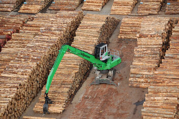 SENNEBOGEN 830 E Mobile flexible material handler – Timber handling and stacking at the sorting yard