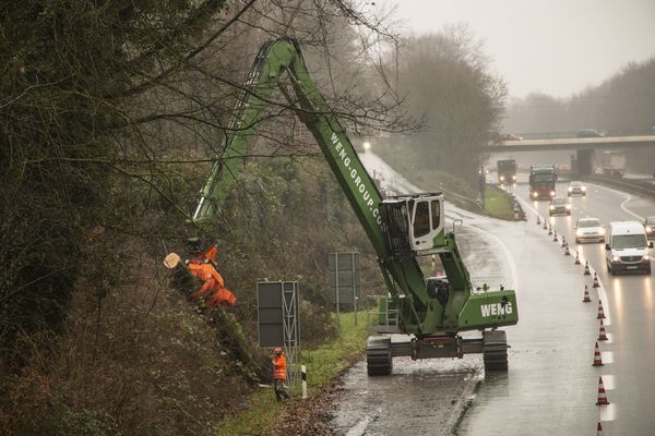 material handler SENNEBOGEN 830 demolition, tree felling machine, care of trees and greenery along traffic routes material handler SENNEBOGEN 830 demolition, tree felling machine, care of trees and greenery along traffic routes