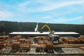 SENNEBOGEN Elektrobagger 835 mit Portal; Holzwerk; Holzumschlag, Verladung von Rundholz