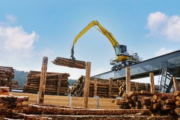 SENNEBOGEN Elektrobagger 835 mit Portal; Holzwerk; Holzumschlag, Verladung von Rundholz