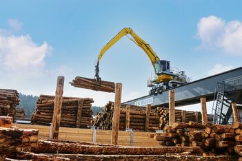 SENNEBOGEN Elektrobagger 835 mit Portal; Holzwerk; Holzumschlag, Verladung von Rundholz