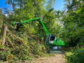 SENNEBOGEN_tree care handler_ash dieback_complex tree felling