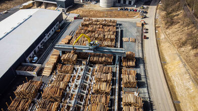 SENNEBOGEN Elektrobagger 835 mit Portal; Holzwerk; Holzumschlag, Verladung von Rundholz