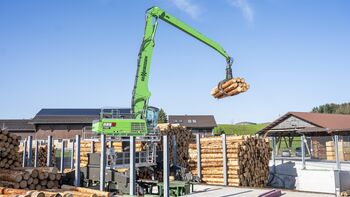 Gantry solution in the sawmill: flagship project in Switzerland