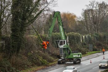 Umschlagbagger SENNEBOGEN 830 Abbruch, Fällbagger, Baumfällung an Autobahn, Baum- und Grünpflege entlang von Verkehrswegen