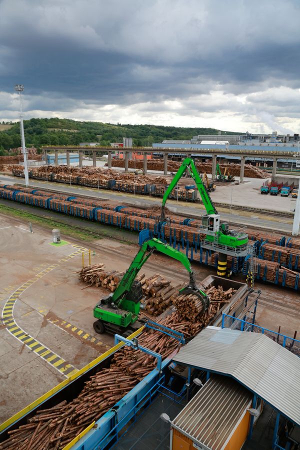 Handling machines SENNEBOGEN 735 and 835 during timber handling at the round timber yard 