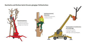 Infografik zu Nachteilen und Risiken verschiedener Fälltechniken bei der Gefahrbaumfällung.