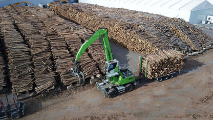 Umschlagbagger mit Anhänger fürs Sägewerk und fürs Baumstämme verladen SENNEBOGEN 830 E Mobil Trailer Holzumschlag