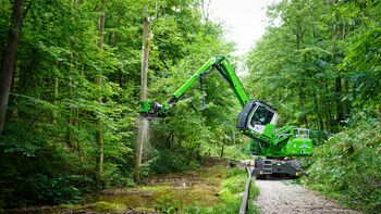 Ash dieback: deadwood removal with tree care handler 718 E