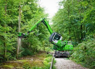 SENNEBOGEN_Fällbagger_Eschentriebsterben_komplexe Baumfällung