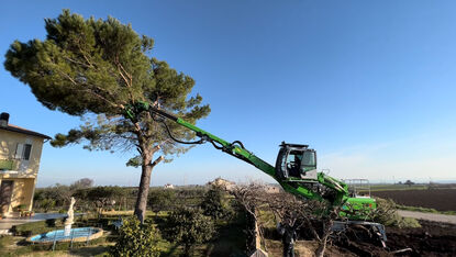 SENNEBOGEN 718 E bei Baumfällungen in Italien