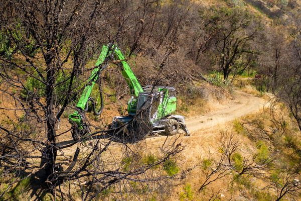SENNEBOGEN 718 timber material handler, tree care machines for cleanup work after wildfires in California, USA