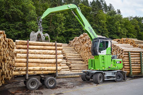 A SENNEBOGEN 724 G at the Holzhof Schmidt roundwood yard, picking up roundwood next to a loaded trailer.