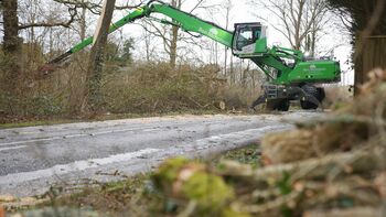 Baumfällarbeiten mit Fällbaggern: Verkehrsstörungen werden minimiert