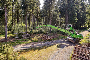 SENNEBOGEN tree handler 718 E embankment care energy wood harvesting landscape care tree care