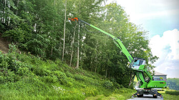 Baumpflege mit Fällbagger, Gehölzpflege, SENNEBOGEN 728, Holz-Umschlagbagger