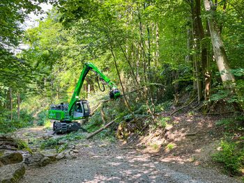 SENNEBOGEN_tree care handler_ash dieback_complex tree felling