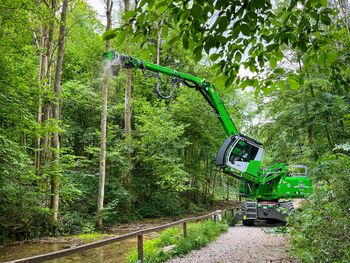 SENNEBOGEN_tree care handler_ash dieback_complex tree felling