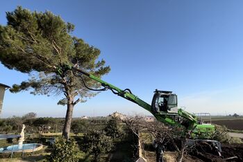 tree felling_SENNEBOGEN 718_tree care handler in Italy