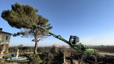 tree felling_SENNEBOGEN 718_tree care handler in Italy
