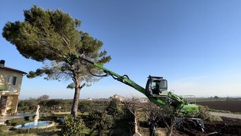 Baumfällung_SENNEBOGEN 718_Fällbagger in Italien