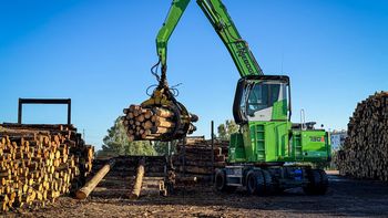 Timber handling for sustainability and efficiency