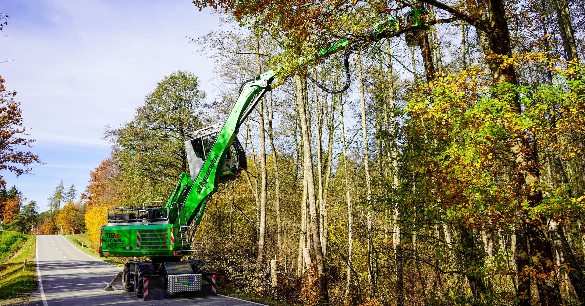 Dresden Large Leaf Trinket ドレスデン葉型器 (大） Hazard tree removal in a changing climate | SENNEBOGEN