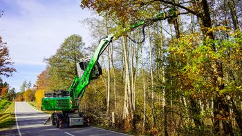 SENNEBOGEN tree felling excavator performing tree maintenance alongside a road.