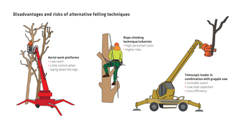 Infographic showing the risks and disadvantages of common hazard tree removal methods.