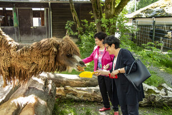 SENNEBOGEN spendet an Tierpark Straubing